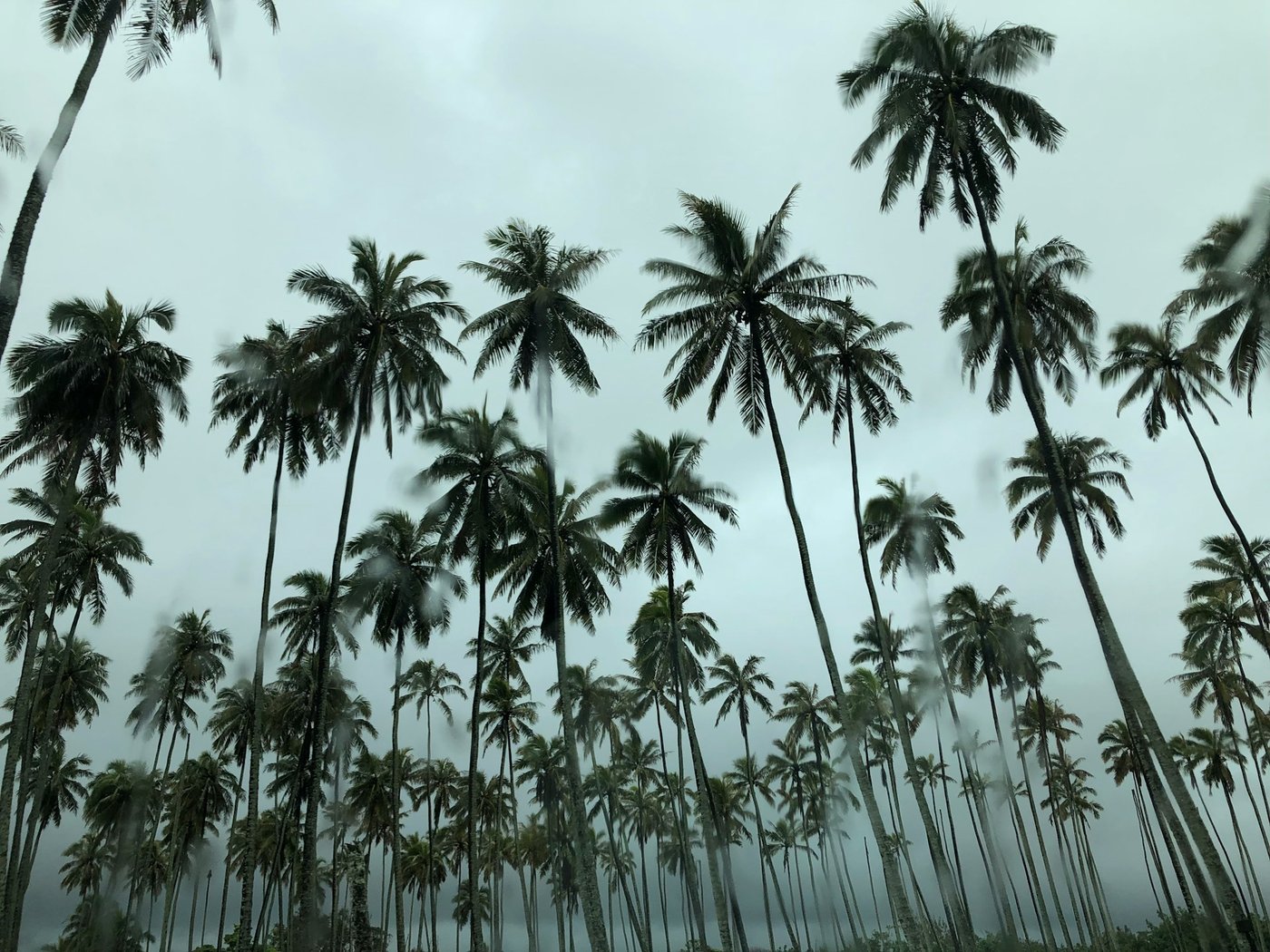 alona-perez-p4xNF5ZPc0c-unsplash